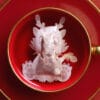 Chinese New Year Dragon Sign 龙年 Handmade Custom Tea Bag