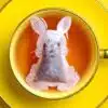 Mid Autumn Chinese New Year Rabbit Sign 兔年 Handmade Custom Tea Bag
