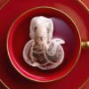 Chinese New Year Snake Sign 蛇年 Handmade Custom Tea Bag