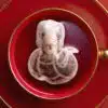 Chinese New Year Snake Sign 蛇年 Handmade Custom Tea Bag