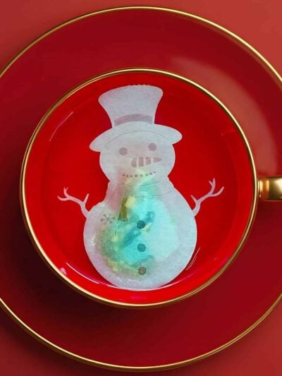 Christmas Snowman Shaped Handmade Custom Tea Bag
