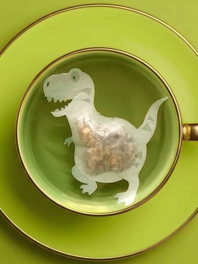 Dinosaur Shaped Tyrannosaurus Rex Custom Tea Bag