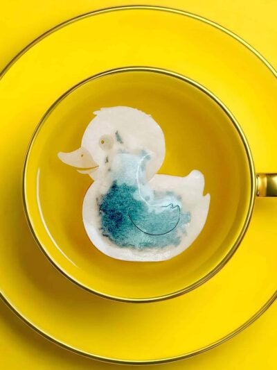 Duck Shaped Handmade Custom Tea Bag