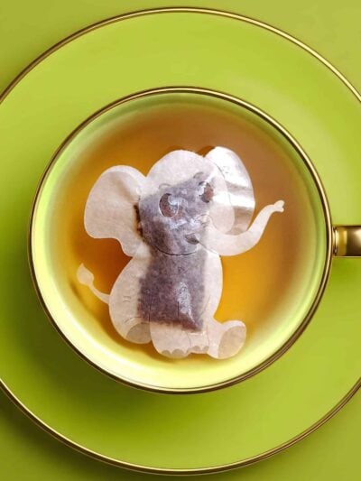 Elephant Shaped Handmade Custom Tea Bag