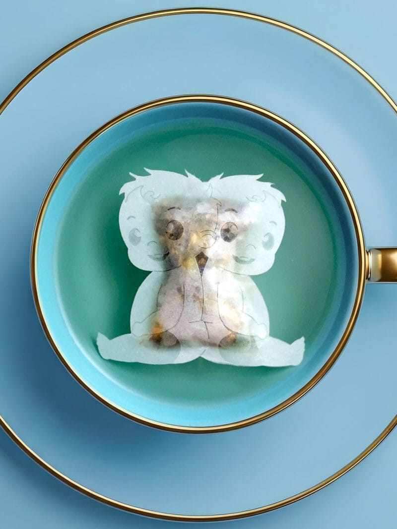 Horoscope Gemini Zodiac Handmade Custom Tea Bag