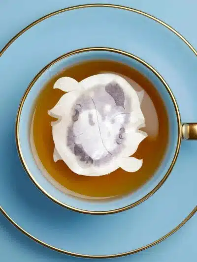 Horoscope Pisces Zodiac Handmade Custom Tea Bag