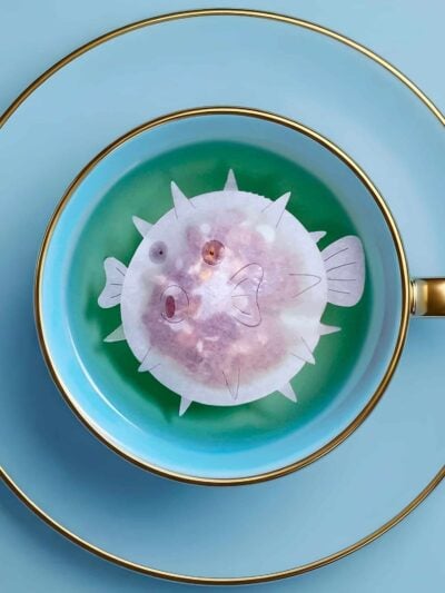 Pufferfish Shaped Handmade Custom Tea Bag