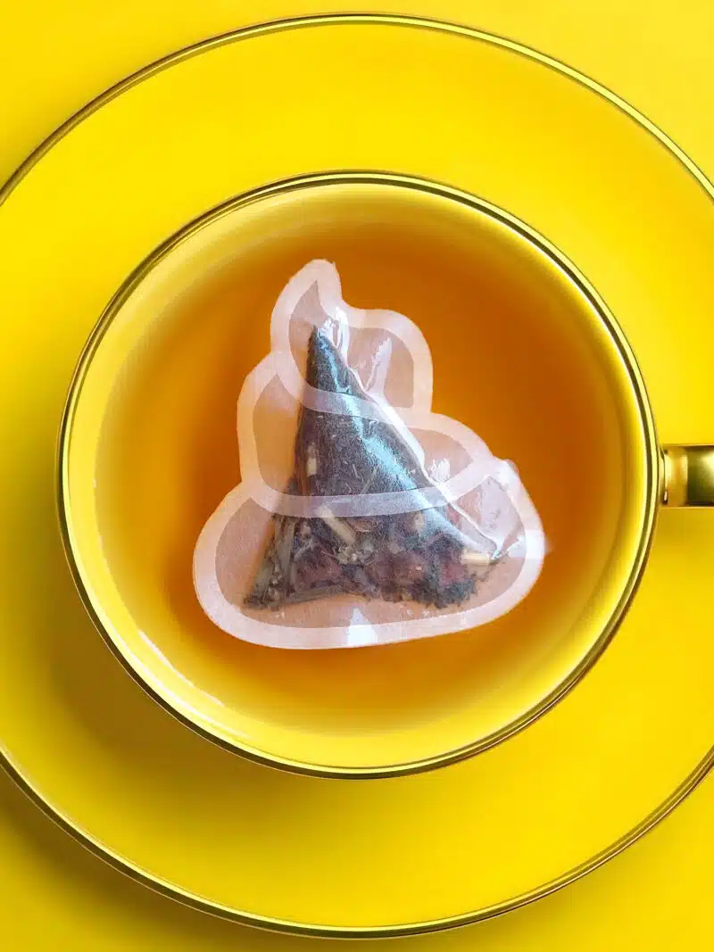 Poop Shaped Handmade Custom Tea Bag