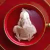 Chinese New Year Rooster Sign 鸡年 Handmade Custom Tea Bag