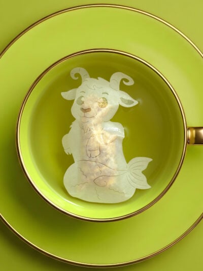 Horoscope Capricorn Zodiac Handmade Custom Tea Bag