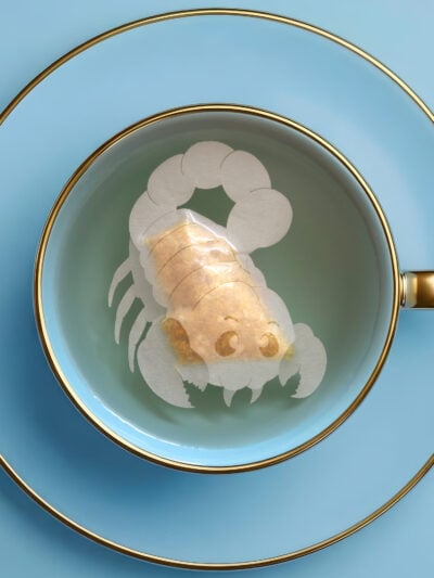 Horoscope Scorpio Zodiac Handmade Custom Tea Bag