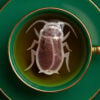 Cockroach Shaped Handmade Custom Tea Bag