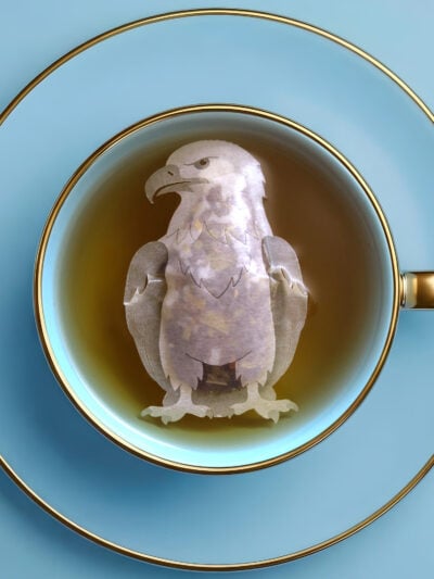 United States American Eagle Shaped Handmade Tea Bag