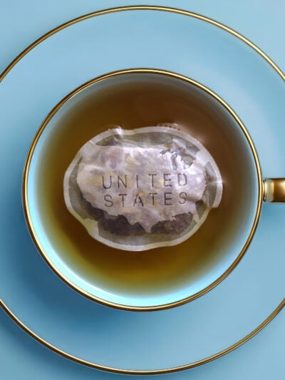 United States of America Map Shaped Handmade Tea Bag