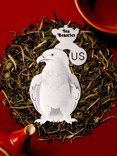 United States American Eagle Shaped Handmade Tea Bag - Image 5