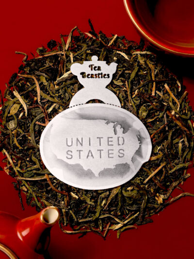 United States of America Map Shaped Handmade Tea Bag - Image 5